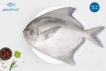 Pomfret Jumbo Skinless fillets  500 g