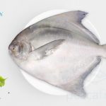Pomfret Jumbo Skinless fillets  500 g