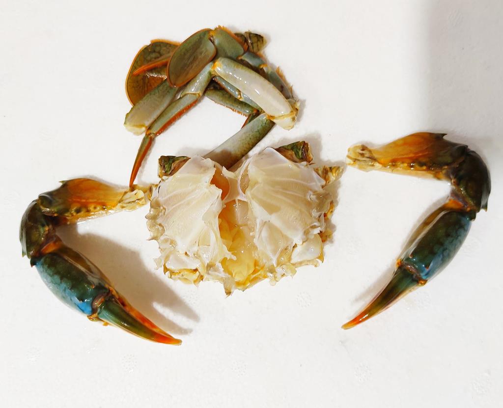 213 Mud Crabs Whole clean 500 g - Image 1