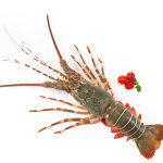 Lobsters Meat 250 g