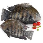 Pearls Spot / Karimeen whole clean 500 g