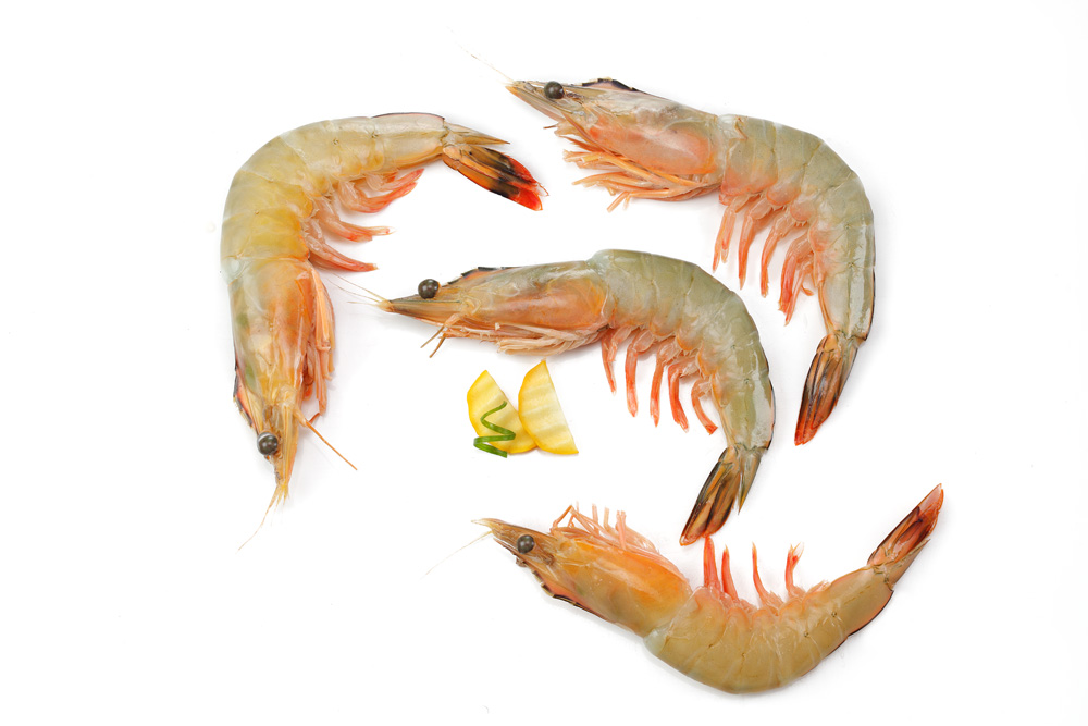 Prawns As it is Jumbo Tiger Prawns ( 11 to 15 pcs per kg ) - Image 1