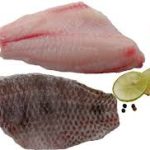 Tilapia Fillets